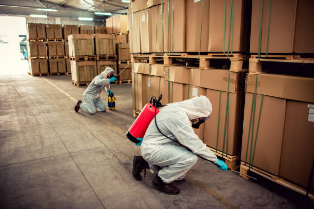 Best Pest Removal Services  in Chippewa Falls, WI