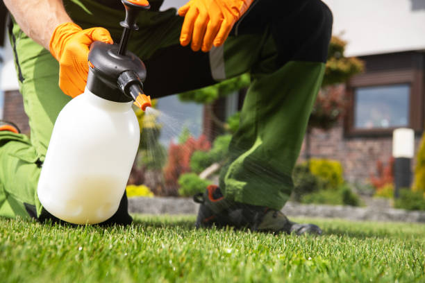 Best Local Pest Control Services  in Chippewa Falls, WI