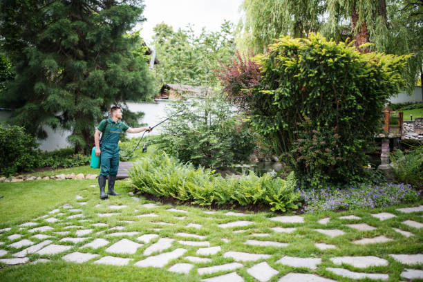 Pest Prevention Services in Chippewa Falls, WI